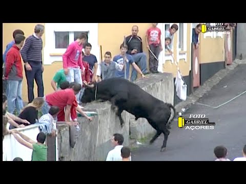 Tourada à corda, ilha Terceira, 2013