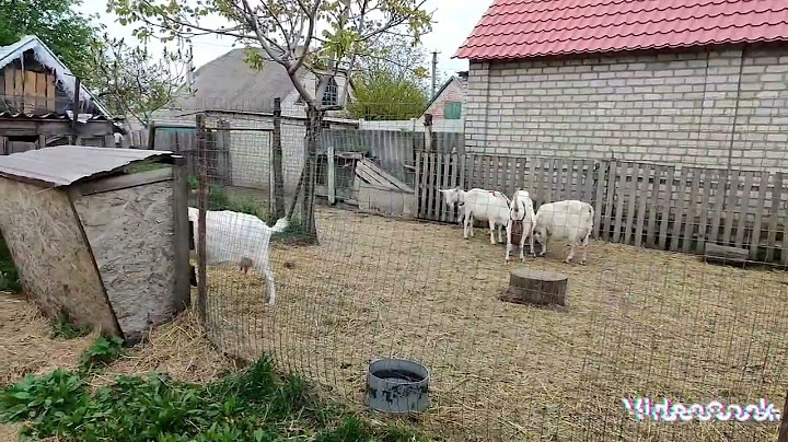 24.04.24. Я боюсь це навіть уявити, але  здається все йде до ліквідації.....