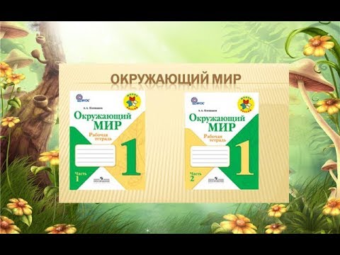 Окружающий мир. Рабочая тетрадь в 2-х частях. 1 класс.