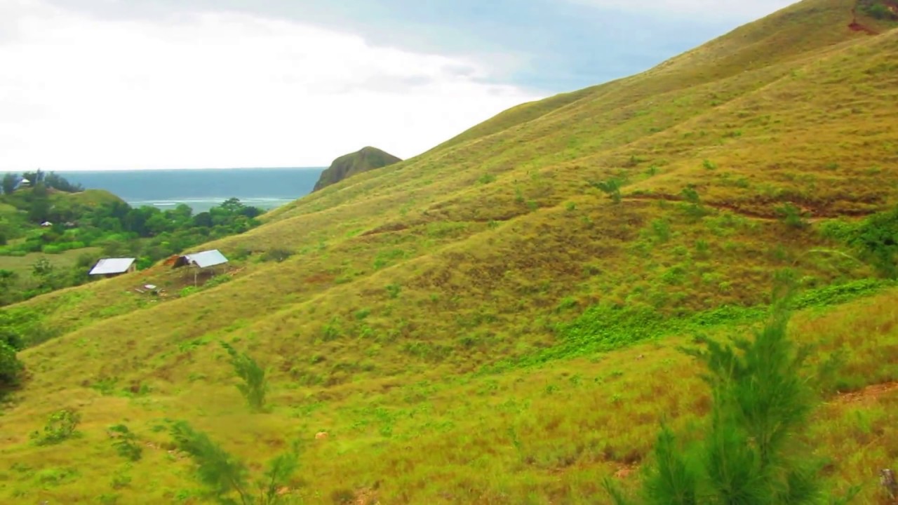 The hills of Malalison Island, Antique