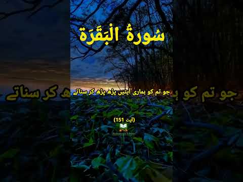        ﷺ         