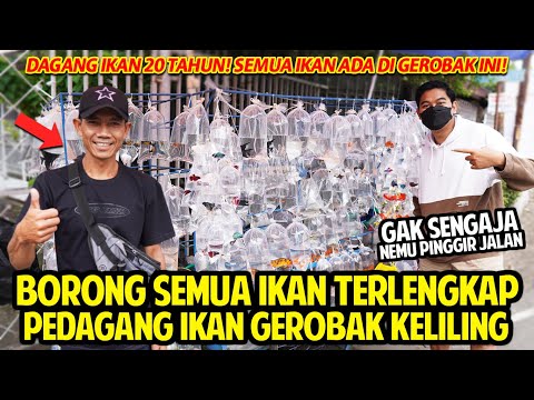 BORONG SEMUA JENIS IKAN PEDAGANG IKAN GEROBAK KELILING TERLENGKAP! 20 TAHUN JUALAN IKAN KELILING!