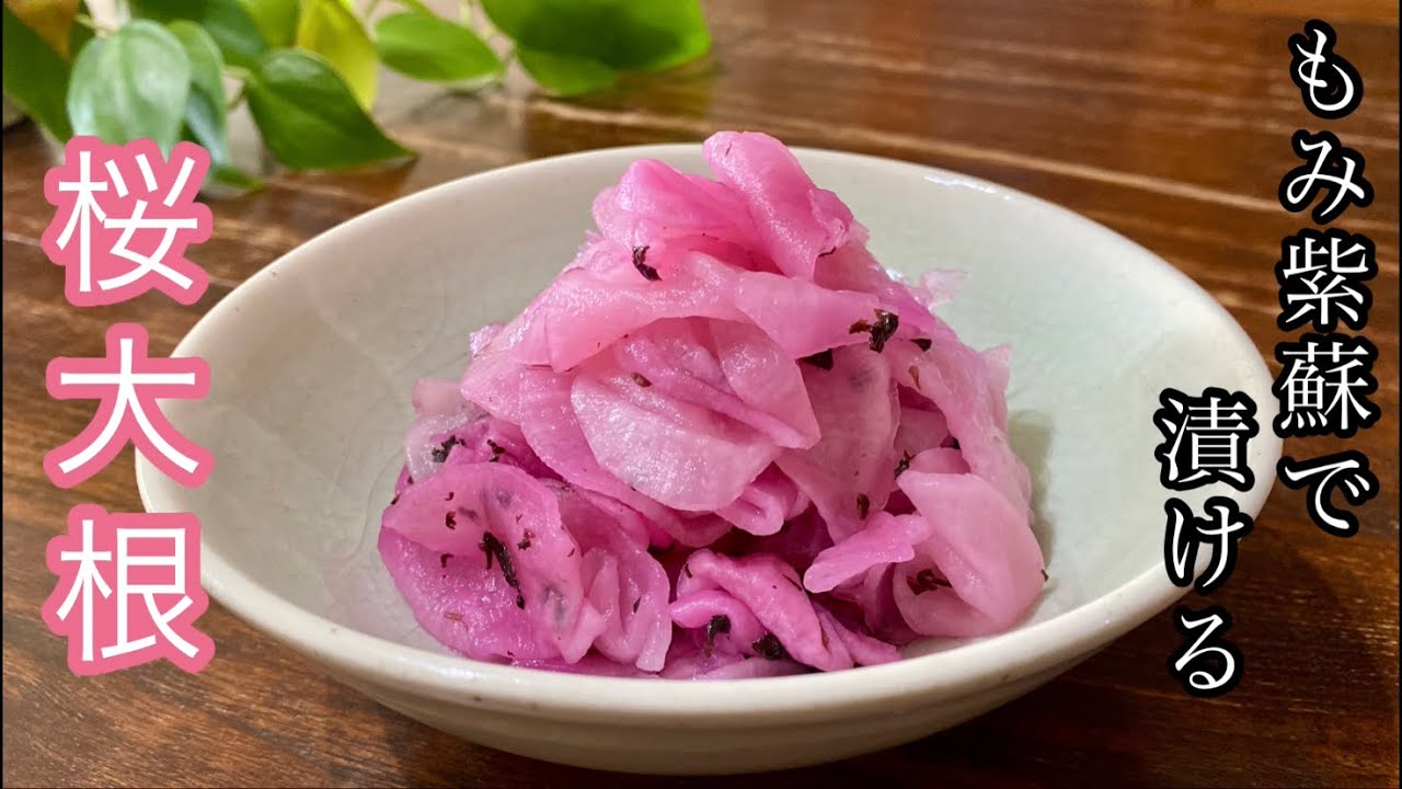 【絶品漬物】赤しそが出回る季節に作りたい！爽やかな紫蘇の香りがたまらない桜大根の漬け方