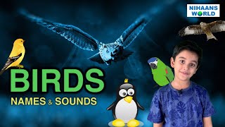 Birds Names and Sounds | Learn Bird Species in English | Birds | Birds Types |