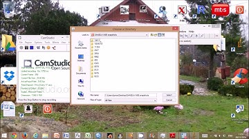 GLCM histology analysis -  with  the provided ImageJ macro for batch processig