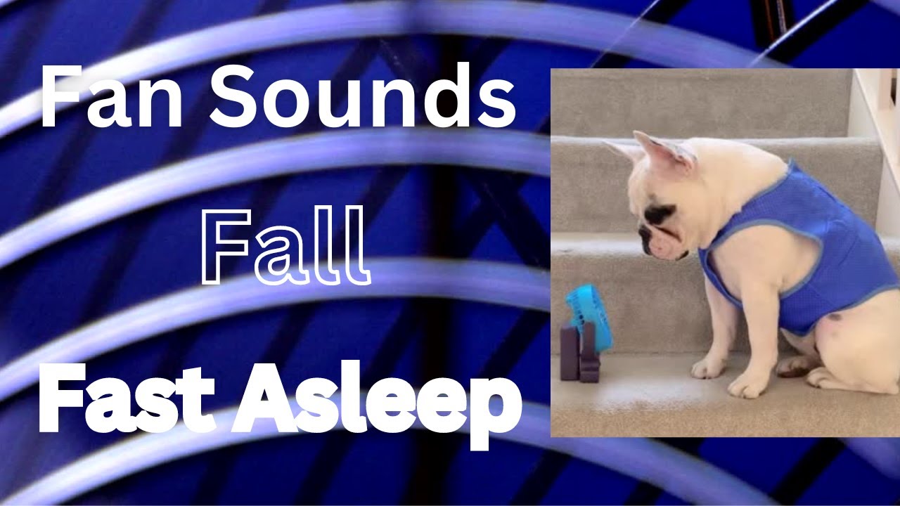 Fan Noise and Cute Dog Cooling by Fan | Fall Asleep Fast | Relaxing Fan Sound | Sleep| Study| 30 min