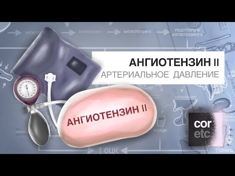 Как ангиотензин II повышает артериальное давление?