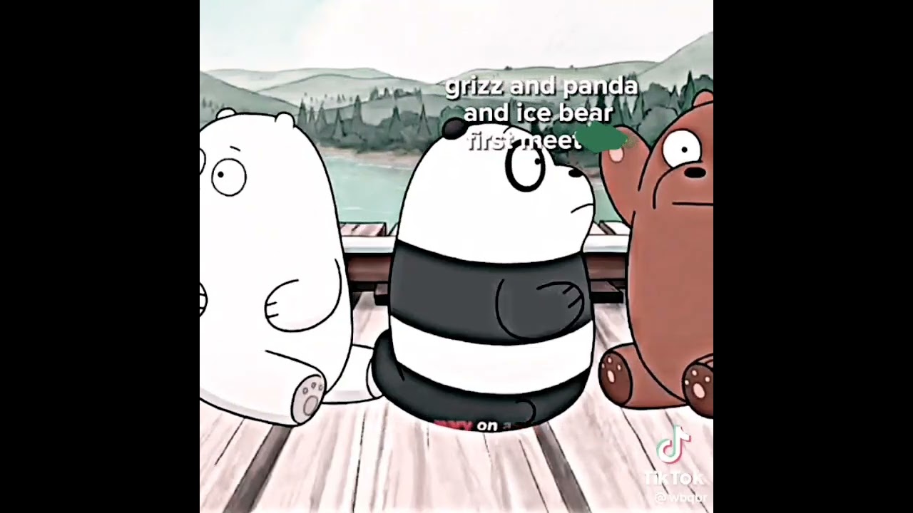 We bare bears Origin story