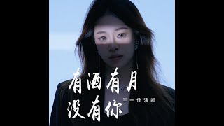 王一佳   有酒有月沒有你