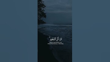 اواخر سوره الفتح - الشيخ ماهر المعيقلي 💜