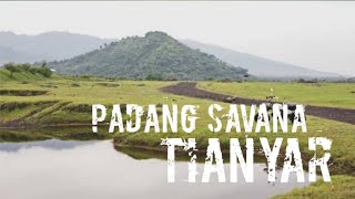 SAVANA TIANYAR//kubu karangasem