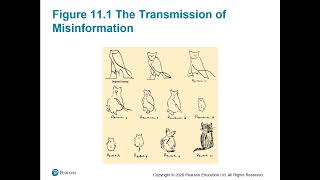 Consumer Behaviour I Solomon - Chapter 11