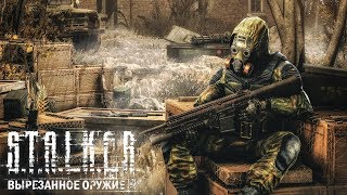 ВЫРЕЗАННОЕ ОРУЖИЕ В ИГРЕ «S.T.A.L.K.E.R.» ВЫРЕЗАННОЕ ОРУЖИЕ В ИГРЕ «S.T.A.L.K.E.R.»