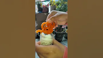 Jalebi Or Dahi Sath P Try Kiya Hai Jalebi Jalebirecipe 