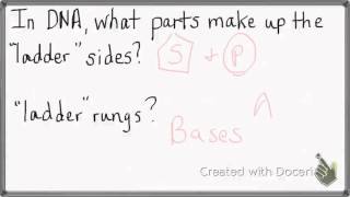 1108 lab test 3 review 8:35 lab