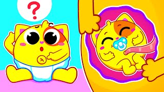 Why Do We Have Belly Buttons for Kids | Funny Songs For Baby & Nursery Rhymes by Toddler Zoo