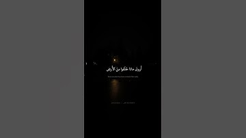 قُل أَرَأَيتُم ما تَدعونَ مِن دونِ اللَّهِ | محمد صديق المنشاوي | سورة الأحقاف