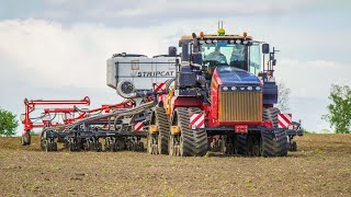 🔥Siew Kukurydzy Największym w Polsce Siewnikiem do Strip-Till