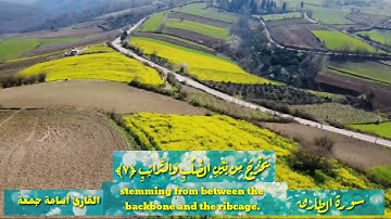 سورة الطارق القارئ | أسامة جمعة عبار Osama Juma Abbar