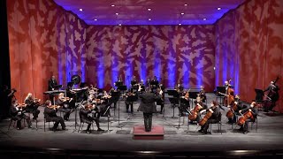 Ziv Cojocaru: Whence Comest Thou, Whither Wilt Thou Go (2017)