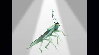 Dancin Roach But Its A Party