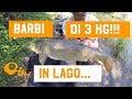 BIG BARBI in lago