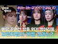방출 위기의 기로에 서 있는 병아리들... 모두가 숨 죽인 보류자들의 운명은?! | 날아라 병아리 6회 | JTBC 260503 방송