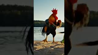 chicken dance funny - gà nhảy hip hop cực vui #chicken #funny #vuinhon #cute #giadinh #giaitri #ai