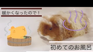 【もるもっと36】ドキドキ初めてのお風呂！