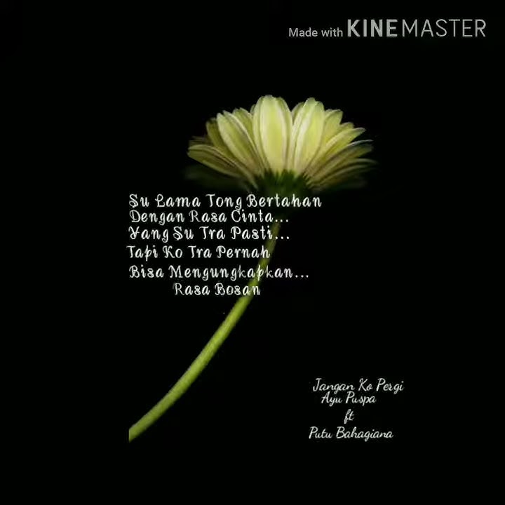 Status WA - SU LAMA TONG BERTAHAN... Putu Bahagiana ft Ayu Puspa