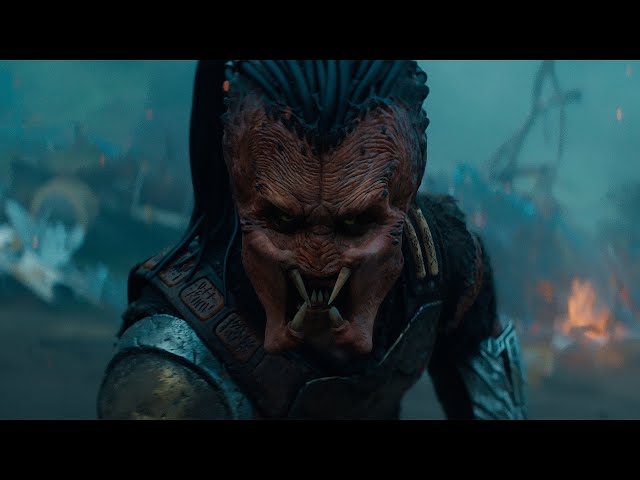 Shirali katta mushuklar