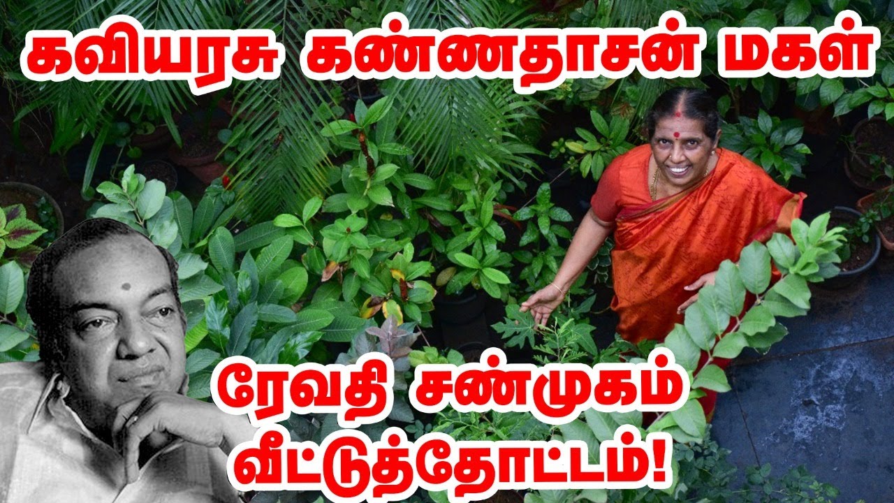கவியரசு கண்ணதாசன் மகள் ரேவதி சண்முகம் வீட்டுத்தோட்டம்! | kaviyarasu kannadasan daughter home garden