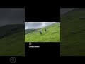 there vasthe/ YouTube short video