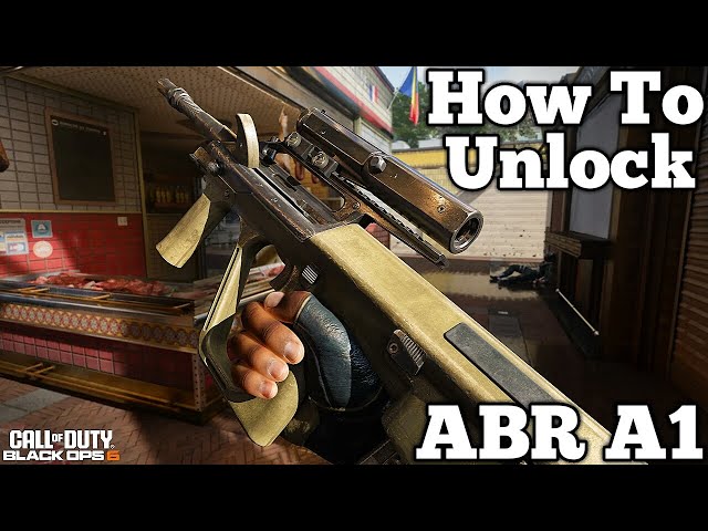 Black Ops 6 Aug Gun