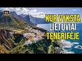 Kelionė į Tenerifę. Kur lietuviai leidžia laiką šiaurės Tenerifėje