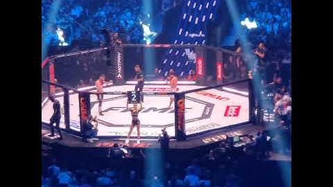 Wardęga biję sędziego na FAME MMA 11