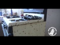 Download Home Roach Invasion! Home Roach Invasion!