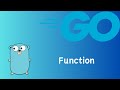 Go | Function | tutorial 14