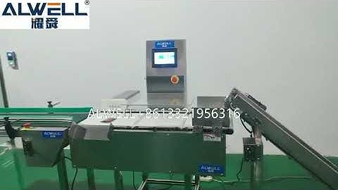 Combined Checkweigher and Conveyor Belt Integrated Checkweigher