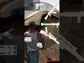 INDIAN BIKE DRIVING 3D NEW WEAPONS CHEAT CODE 😱 | INDIAN BIKE DRIVING 3D | MAXER | #shorts