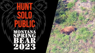 2023 Solo Montana Spring Black Bear Hunt - DIY Public Land BIG CINNAMON Color Phase 4K