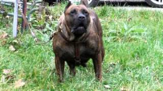 Chwila Przed Testami