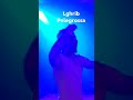 Lgheib Pelegrossa Lgheib Pelegrossa