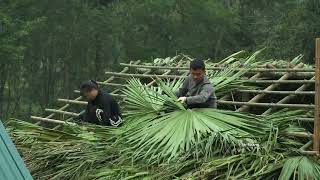 Download Lagu Het dak afmaken en Nhi's maïs- en suikerrietoogst MP3