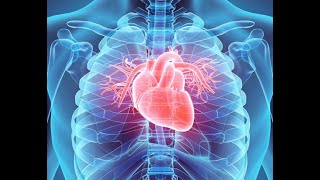 Physiology | CVS |  lecture 1 | Introduction & fast response A Potentional  | Dr.Nagi | Arabic