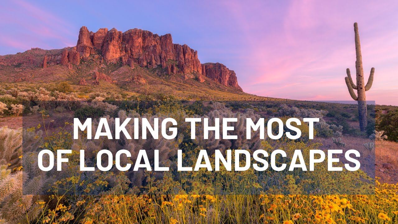 Slow Down and Explore