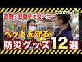 【ペット防災対策】災害に備えるペットの為の避難グッズ＆持ち物｜犬猫【カインズ】