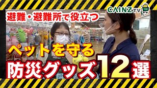 【ペット防災対策】災害に備えるペットの為の避難グッズ持ち物犬猫【カインズ】