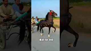 Download Lagu horse video #18 #shorts #trending #horse MP3 Download Lagu horse video #18 #shorts #trending #horse MP3
