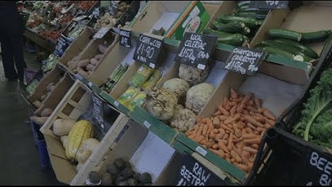 Why are soils important?